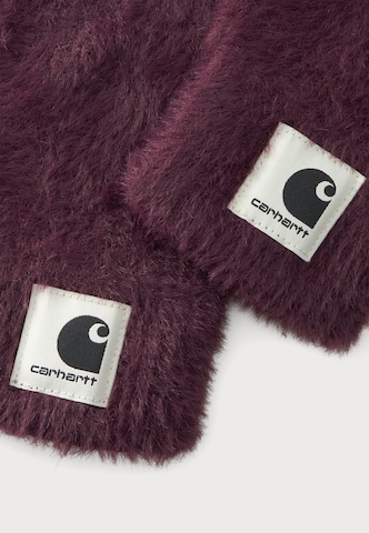 Carhartt WIP Rokavice 'Maine' | vijolična barva