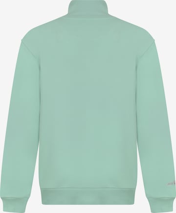 DENIM CULTURE Sweatshirt 'Tatiana' in Groen