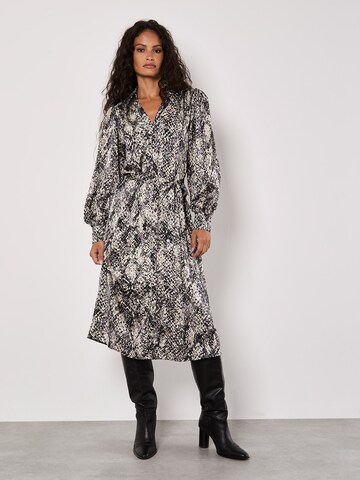 Robe ' ' Apricot en gris
