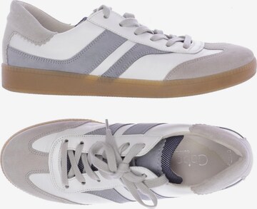 GABOR Sneaker 38,5 in Grau: predná strana