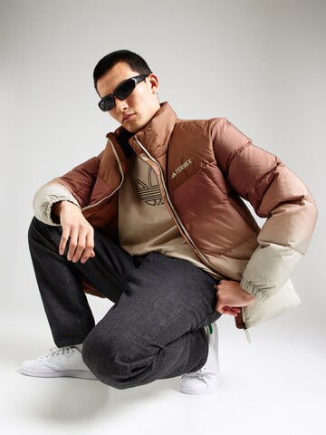 Veste outdoor 'XPL' ADIDAS TERREX en beige