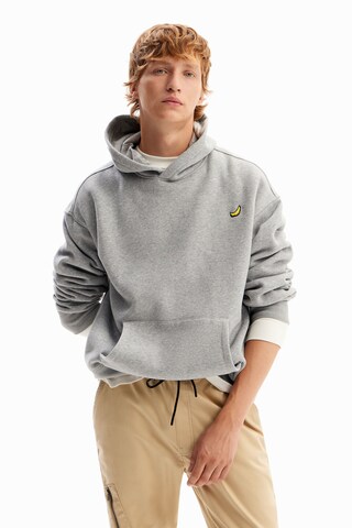 Desigual Sweatshirt in Grijs: voorkant