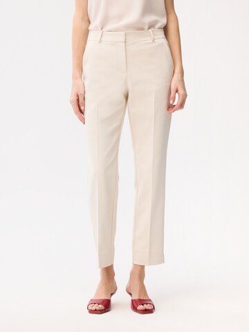 adl Regular Pants in Yellow