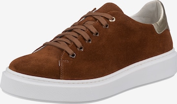 Paul Vesterbro Sneakers in Brown: front