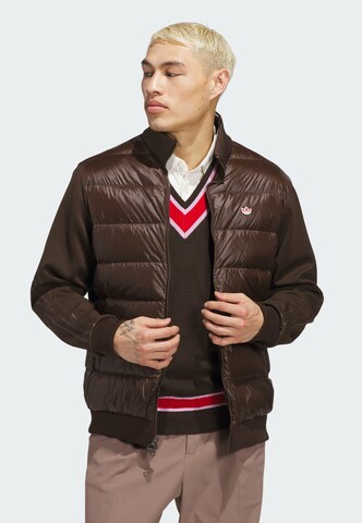 Veste outdoor ADIDAS PERFORMANCE en marron : devant