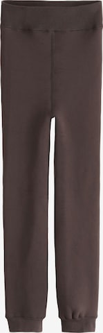 ruda Next Siaurėjantis Tamprės: priekis