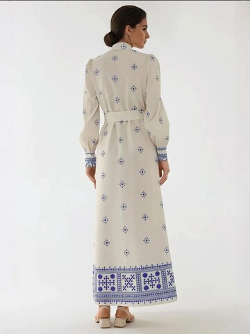 Hiccup Dress in White