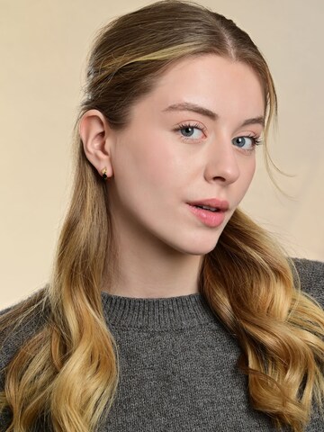 Akzent Earrings 'langlebig' in Gold: front