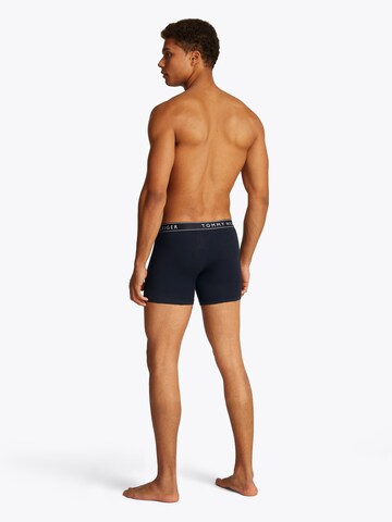 Tommy Hilfiger Underwear Boxer shorts in Blue