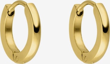 PURELEI Earrings 'Ike' in Gold: front