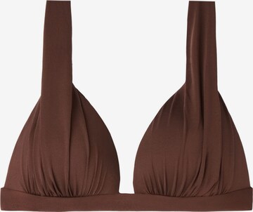 CALZEDONIA Triangel Bikinitop 'Timeless Diva' in Braun: predná strana