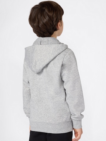 Champion Authentic Athletic Apparel Mikina – šedá