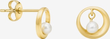 Sofia Milani Ohrringe 'Pearl Circle' in Gold: Vorderseite