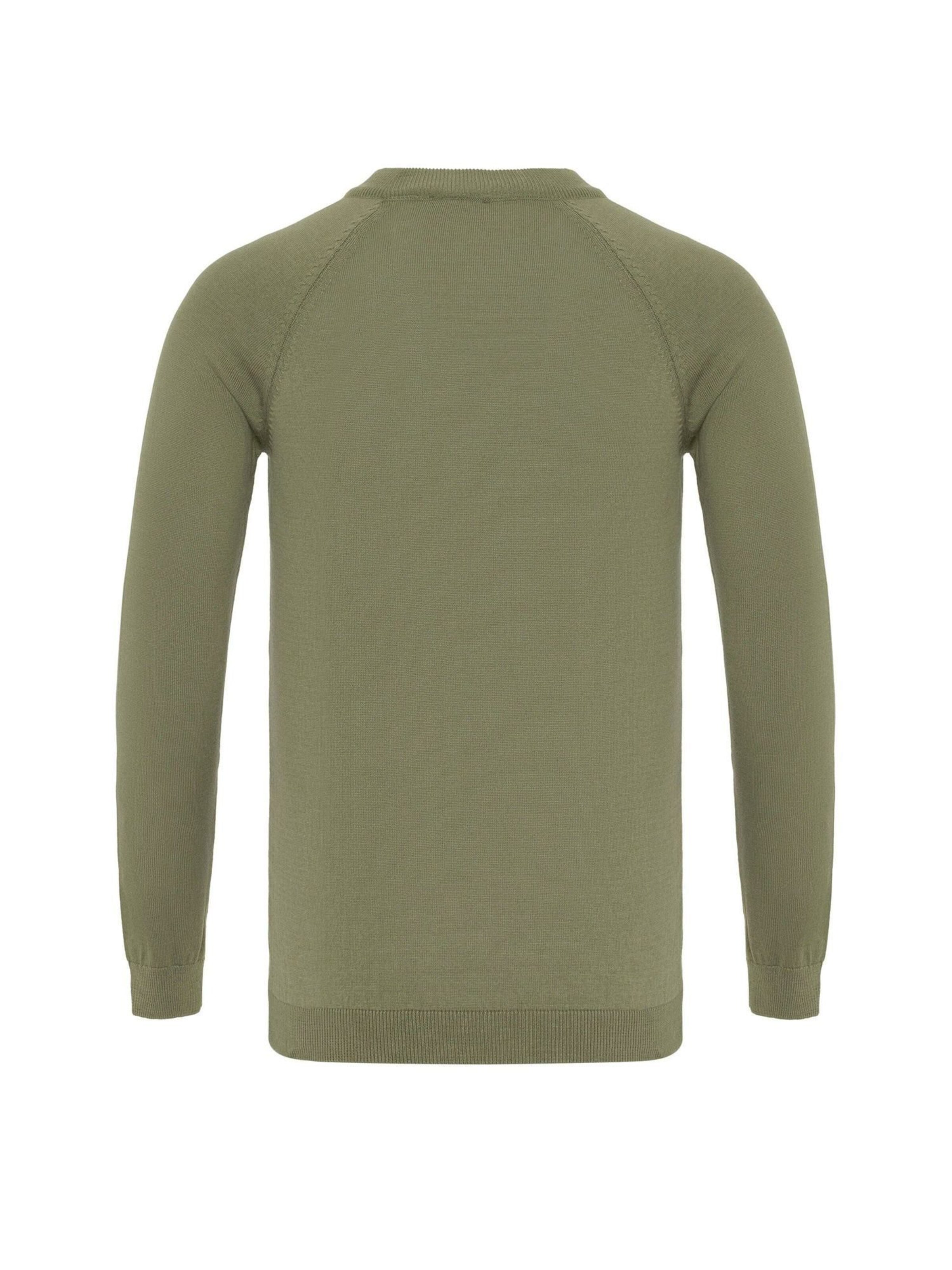 Antioch Pullover in Grün