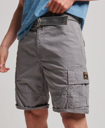 Superdry Regular Cargo Pants in Grey: front