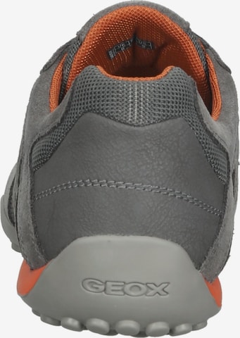 Sneaker bassa 'Uomo Snake' di GEOX in grigio