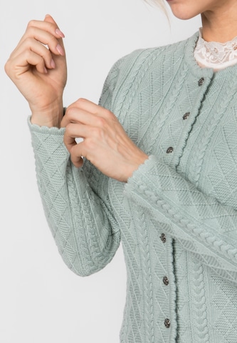 STOCKERPOINT Gebreid vest 'Lavina' in Groen