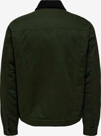 Veste mi-saison 'LOUIS' Only & Sons en vert