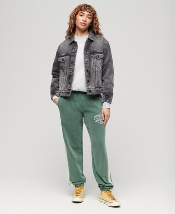 Superdry Tapered Broek in Groen