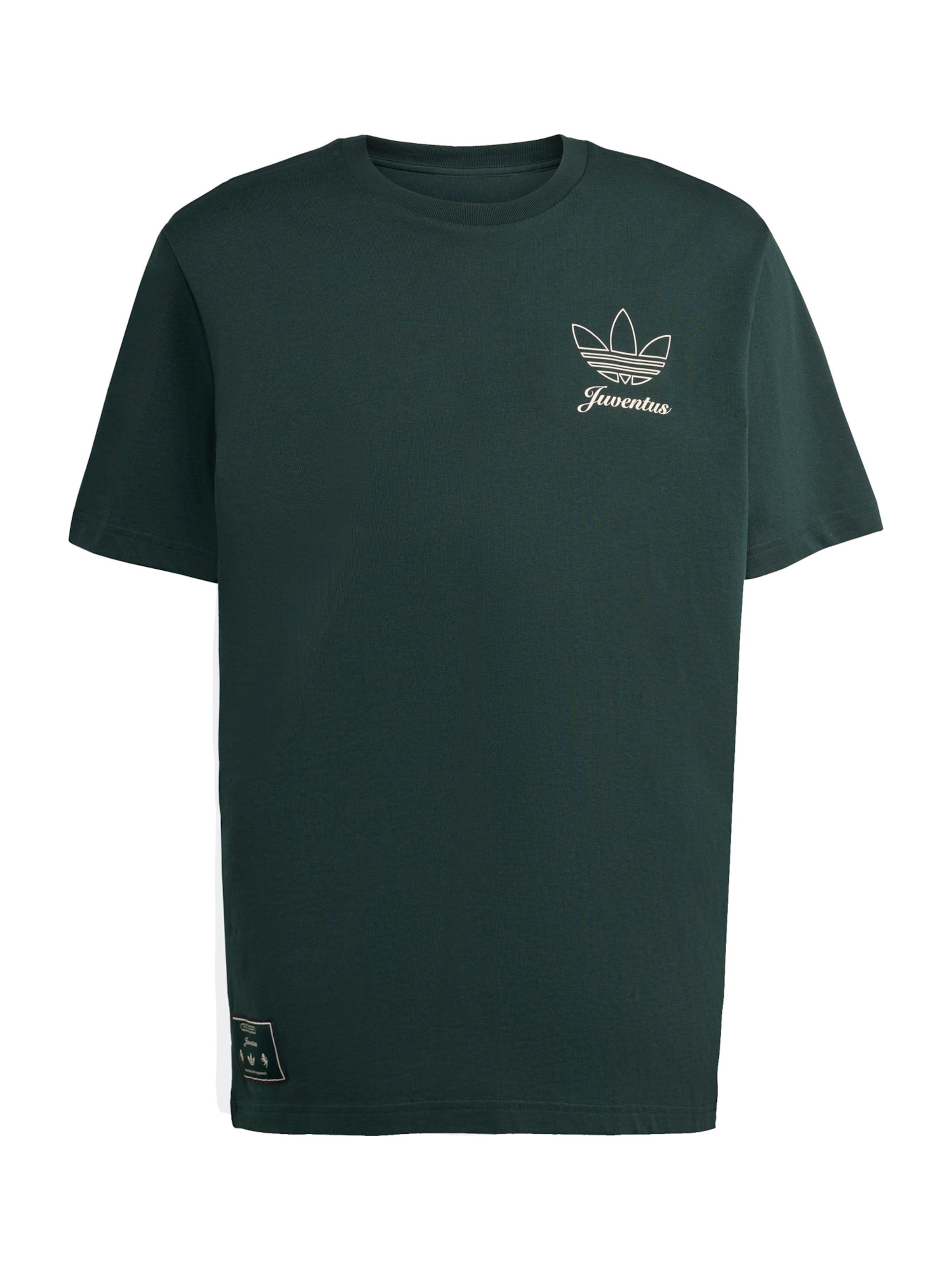 ADIDAS ORIGINALS T-shirt i grön: framsida