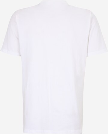 T-Shirt fonctionnel 'Skates Graphic' ADIDAS SPORTSWEAR en blanc