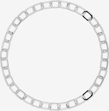 P D PAOLA Necklace in Silver: front