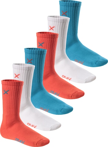 cflex Athletic Socks 'Lifestyle' in Mixed colors: front