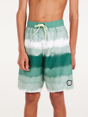 PROTEST Board Shorts 'PRTABEL JR' in Green