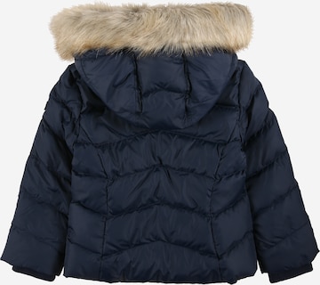 TOMMY HILFIGER - Chaqueta de invierno en azul