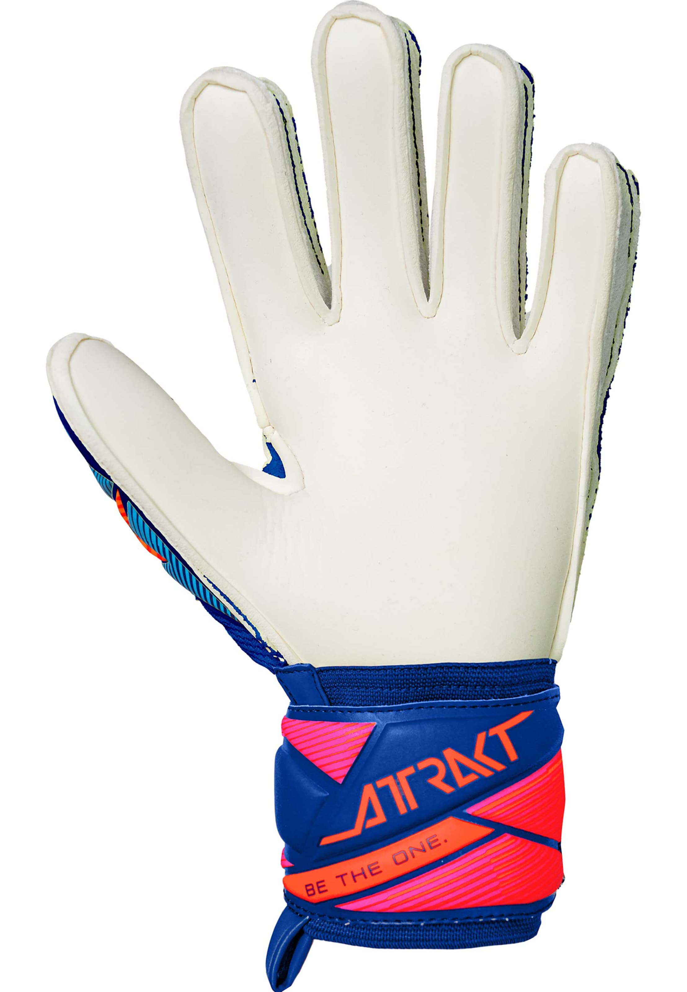 REUSCH Torwarthandschuhe 'Attrakt Advance Junior' in Blau
