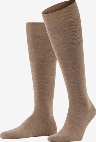 FALKE Knee High Socks 'Airport' in Brown: front