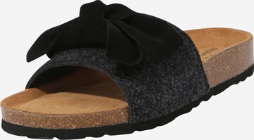 SHEPHERD Slipper in Black: front