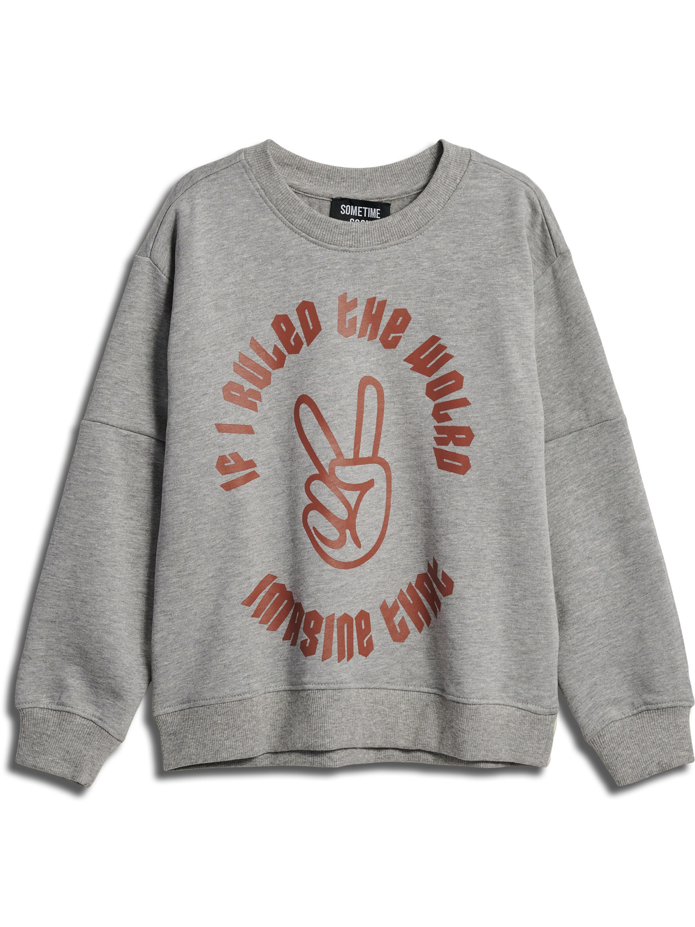 SOMETIME SOON Sweatshirt i grå: forside