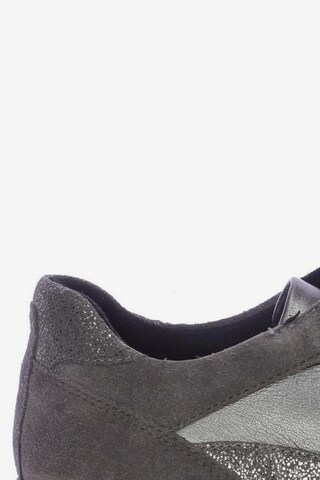 GEOX Sneakers & Trainers in 39 in Grey