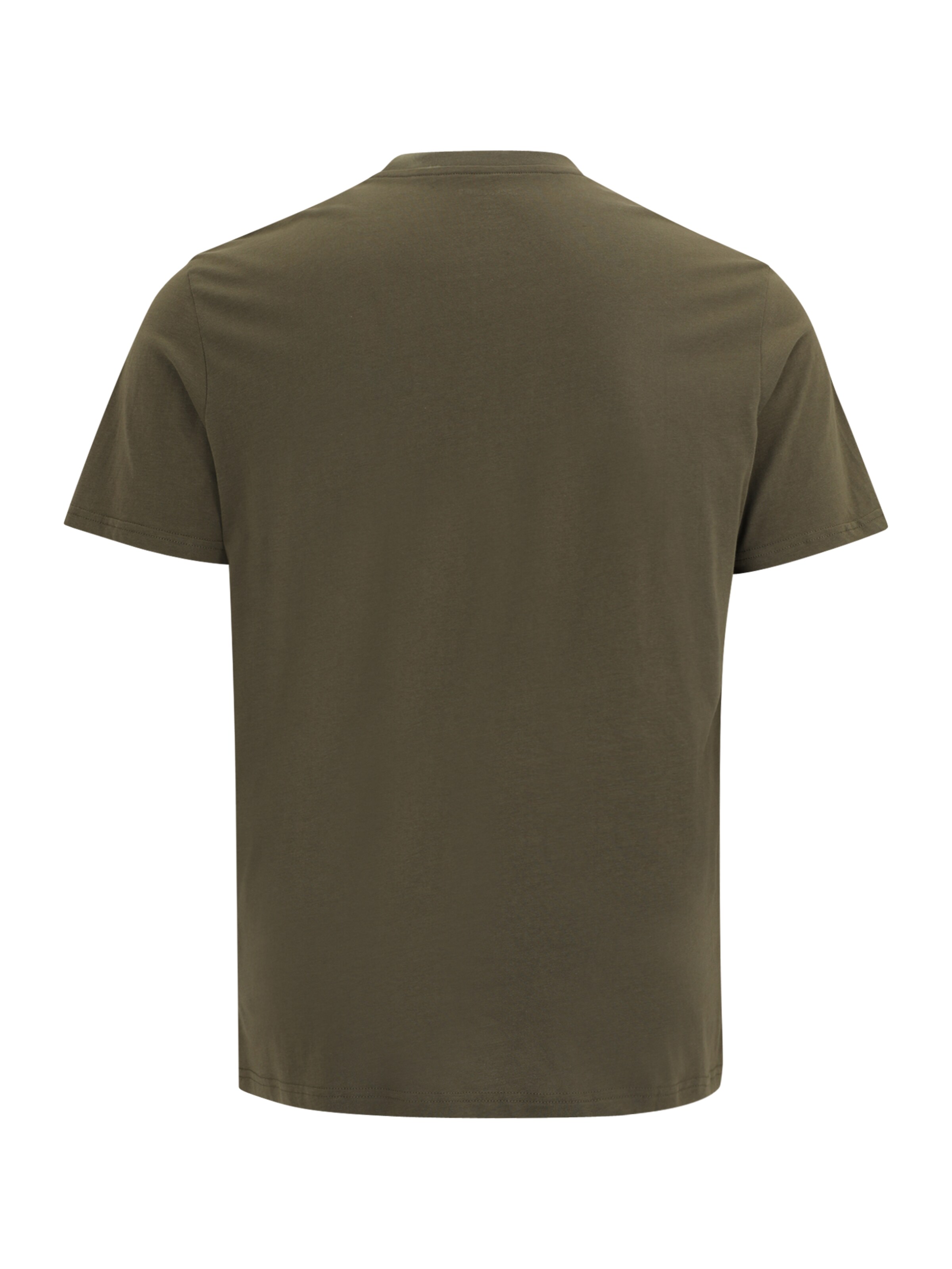 Jack & Jones Plus T-Shirt in Grün