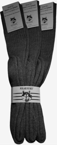 Chaussettes montantes Polar Husky en gris