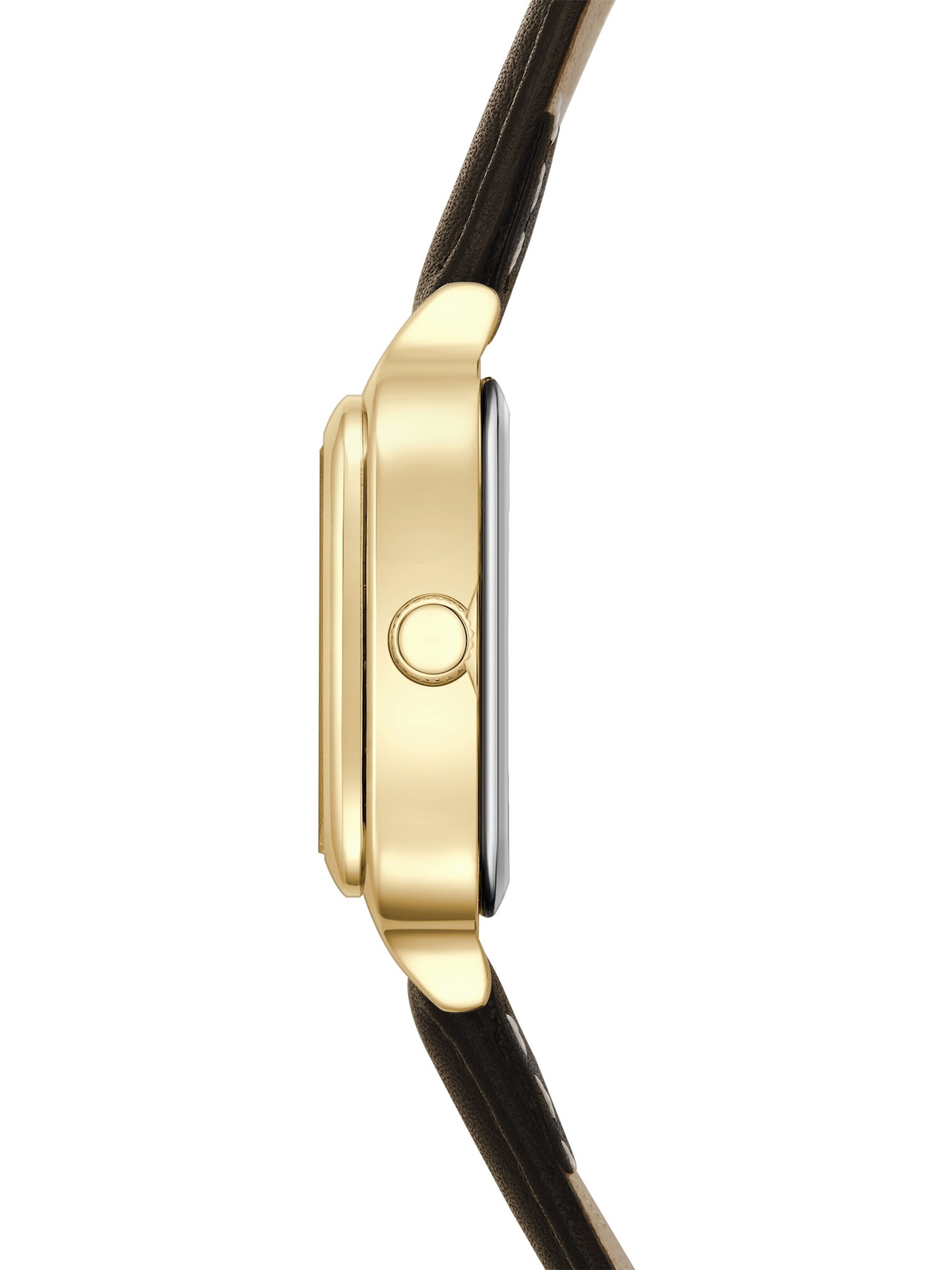 Eastside Analog watch in Brown