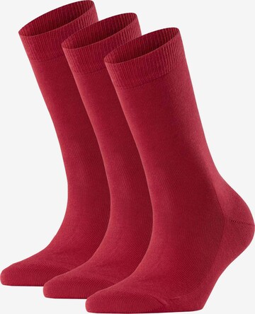 FALKE Socks in Red: front