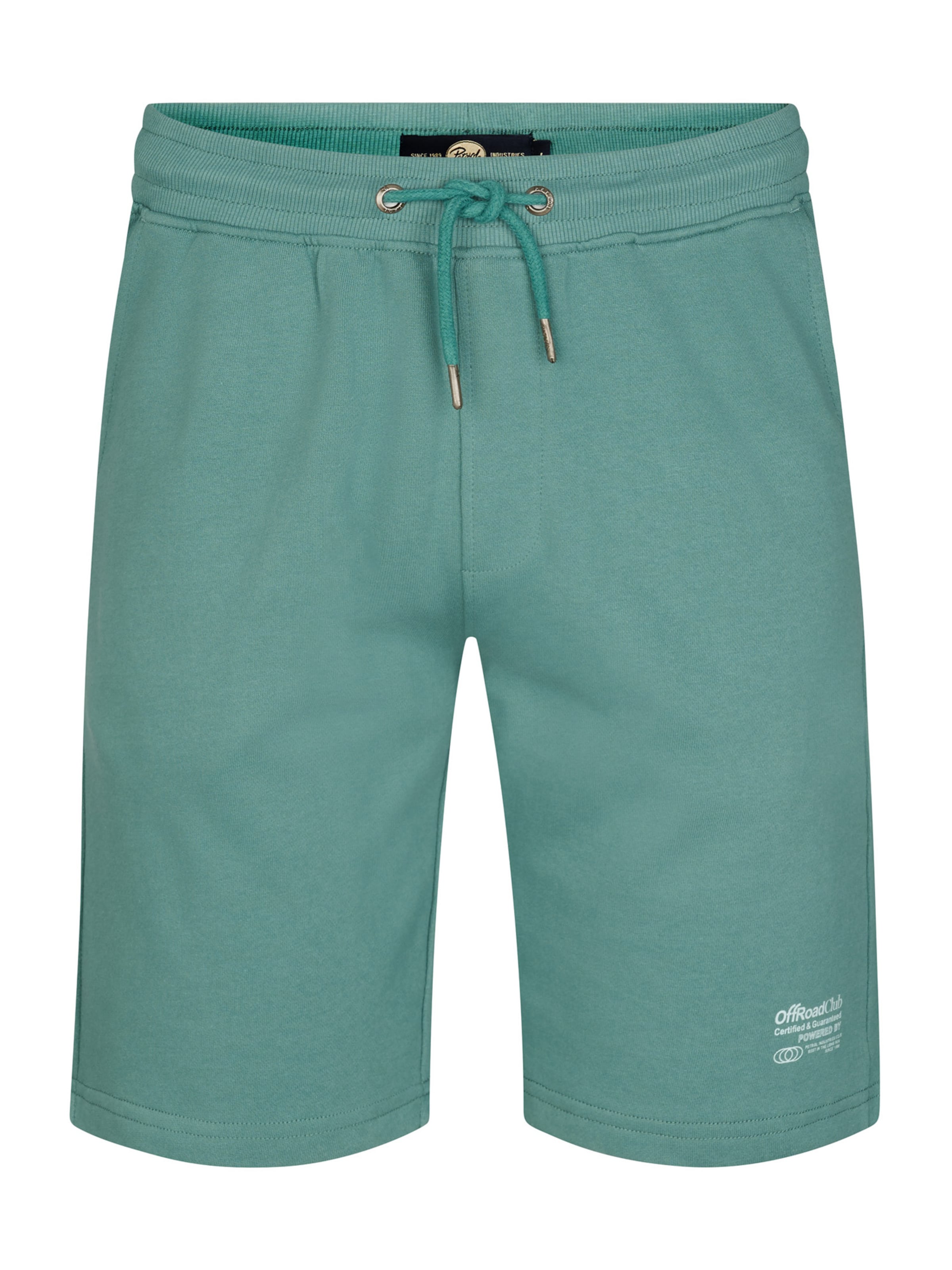 Petrol Industries Regular Pants in Green: front