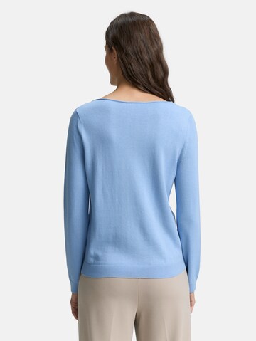 TOM TAILOR Trui in Blauw