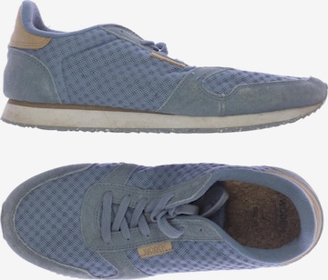 WODEN Sneaker 40 in Blau: predná strana