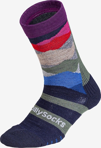 Chaussettes de sport DillySocks en mélange de couleurs : devant