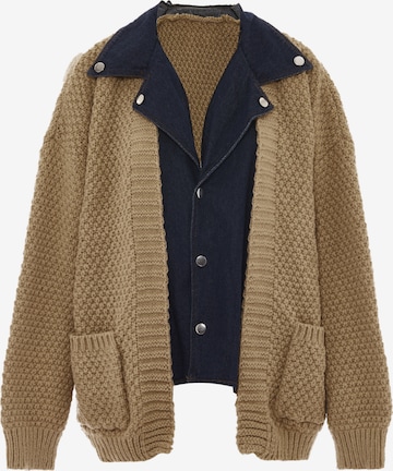 SANIKA Strickjacke in Beige: Vorderseite