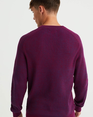 WE Fashion Sweater in Purple