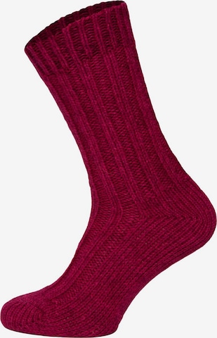 HomeOfSocks Socks 'HOS2203' in Pink: front