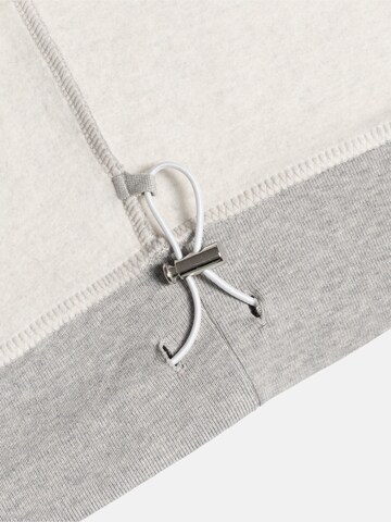 ENRAGE Sweatshirt 'THE BLANC' in Grau