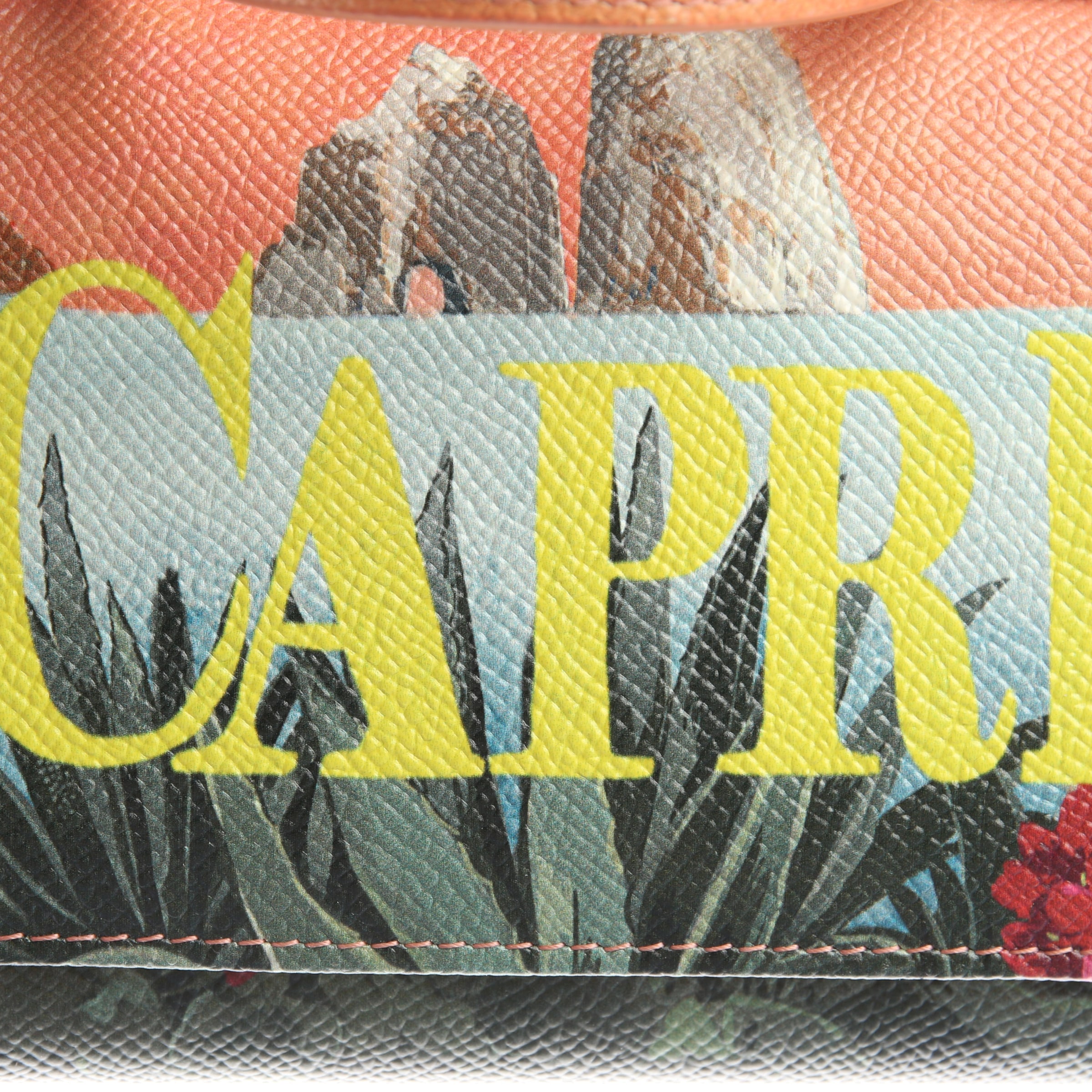 DOLCE & GABBANA Bag in One size in Mixed colors