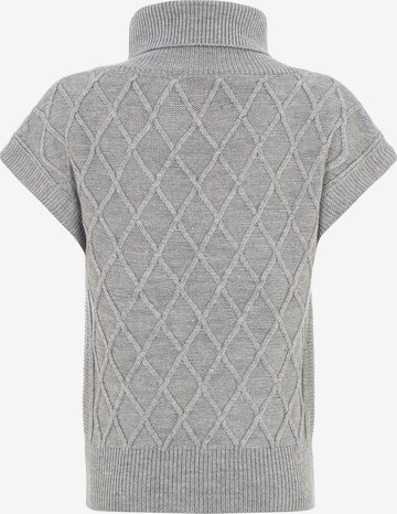 Pull-over Jimmy Sanders en gris