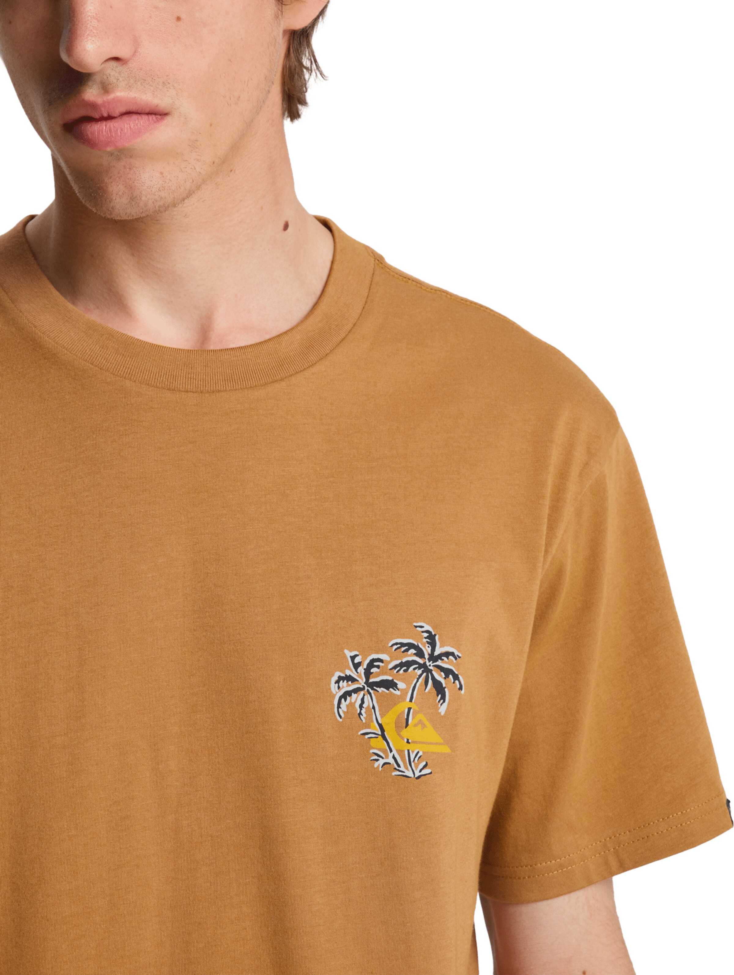 QUIKSILVER Performance Shirt 'Evo Learning From Nature' in Brown