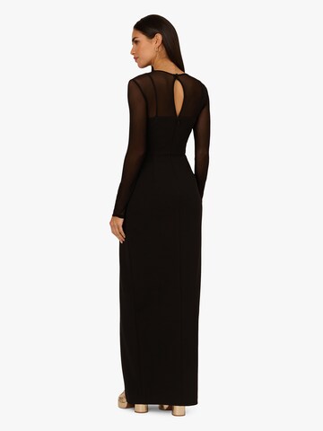 Adrianna Papell Abendkleid in Schwarz